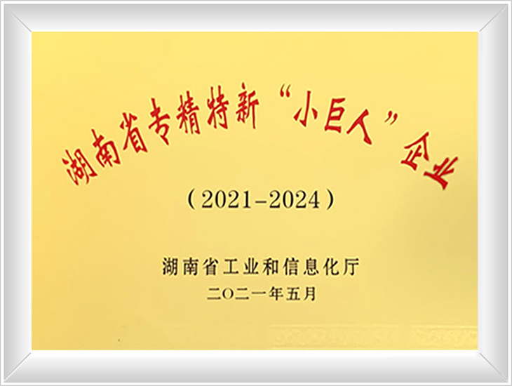 專(zhuān)精特新小巨人