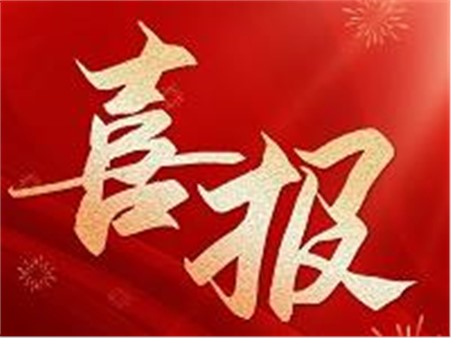 專精特新，鑄就行業(yè)"小巨人"！